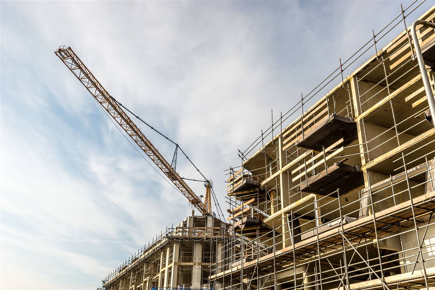 Blueprint and CAD review in a construction office setting, IT support for engineering firms