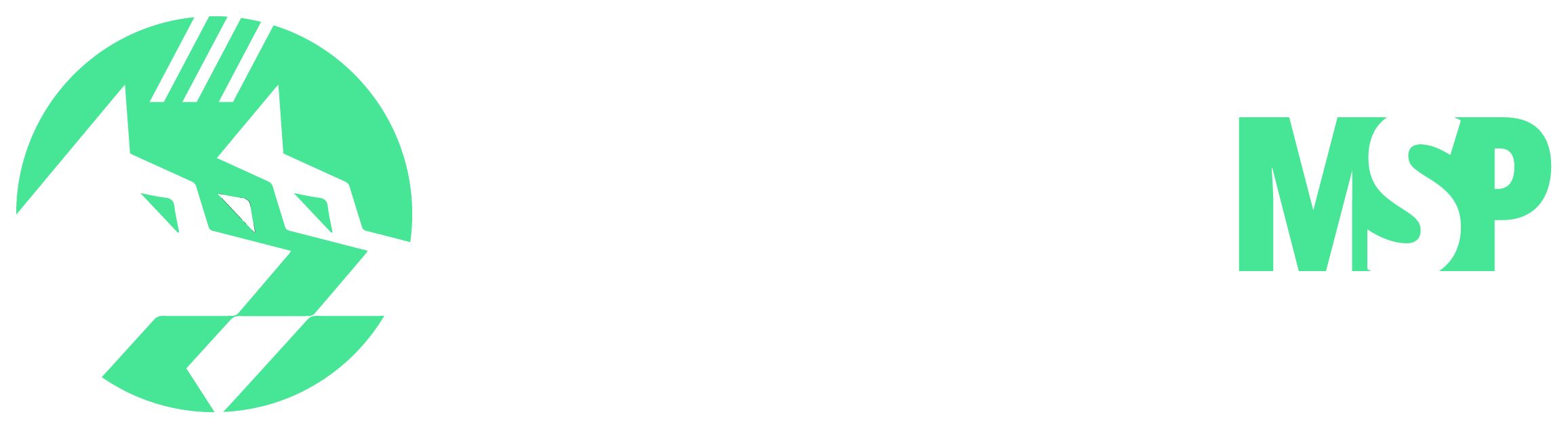 CerberusMSP